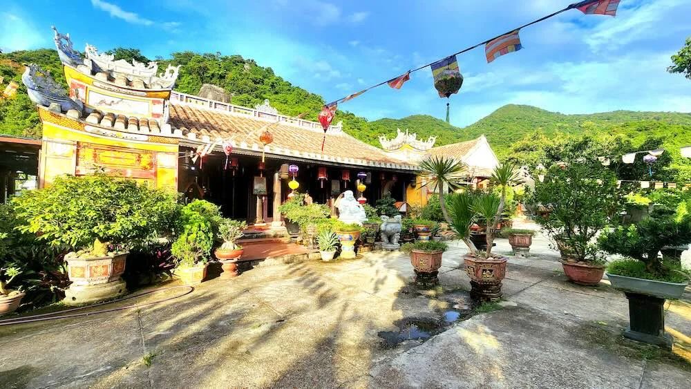 TOUR DAILY – CÙ LAO CHÀM 1 NGÀY