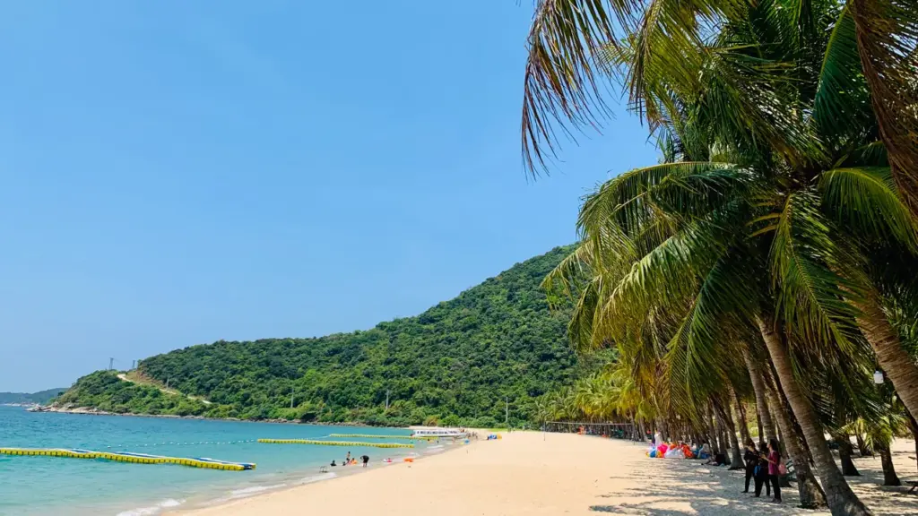 TOUR DAILY – CÙ LAO CHÀM 1 NGÀY