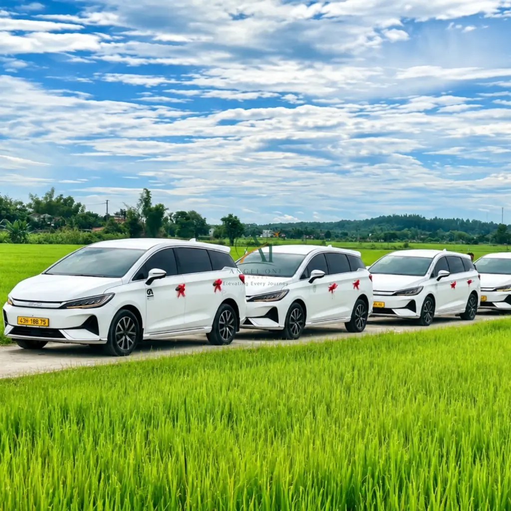 Xe Cưới Đà Nẵng – Xe Hoa & Xe Đưa Đón Hai Họ