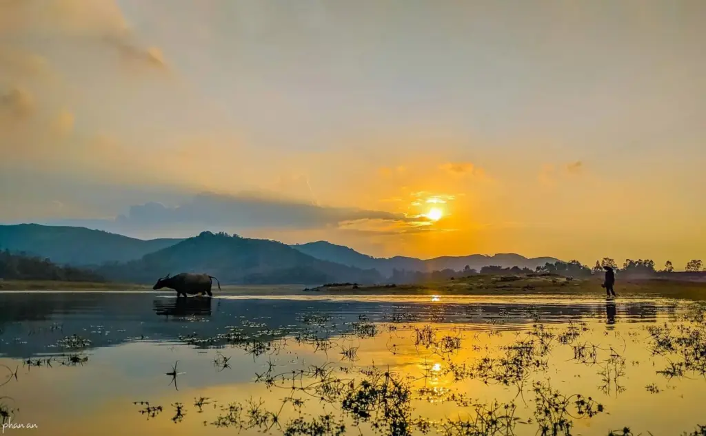 Trải Nghiệm Đồng Quê Phú Ninh Có Gì Thật Sự Đáng Thử?