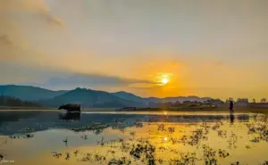 Trải Nghiệm Đồng Quê Phú Ninh Có Gì Thật Sự Đáng Thử?
