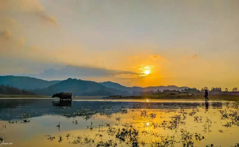Trải Nghiệm Đồng Quê Phú Ninh Có Gì Thật Sự Đáng Thử?