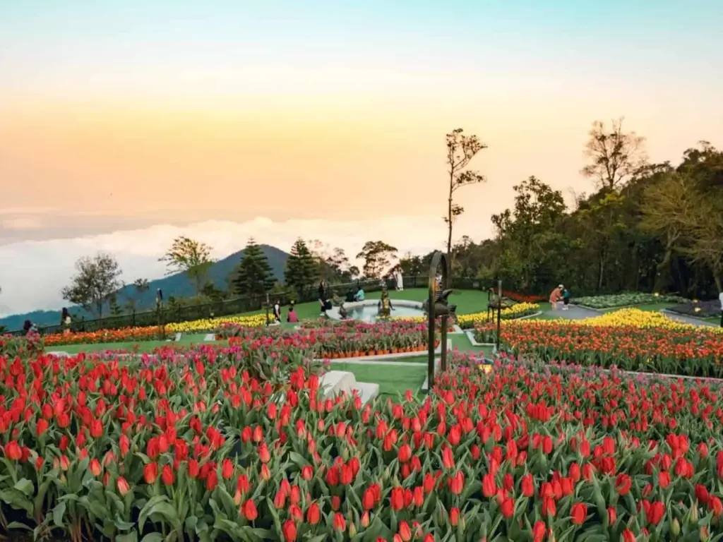 Vé Sun World Bà Nà Hills Đà Nẵng