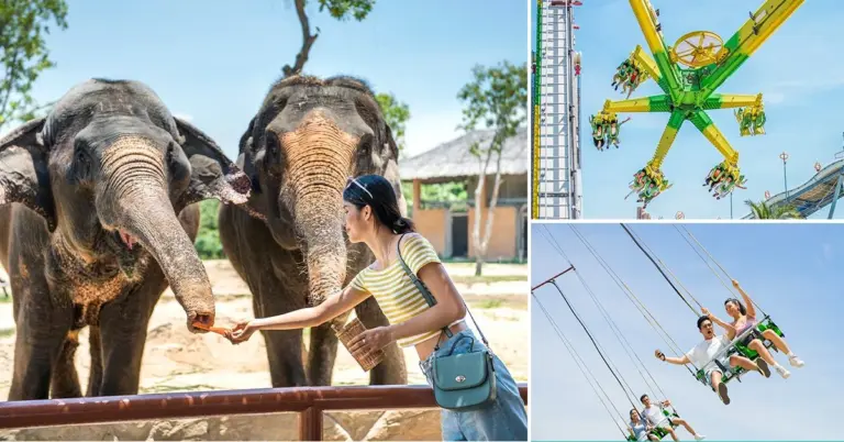 TOUR VINWONDERS NAM HỘI AN – 1 NGÀY