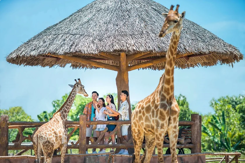 Vé VinWonders Nam Hội An