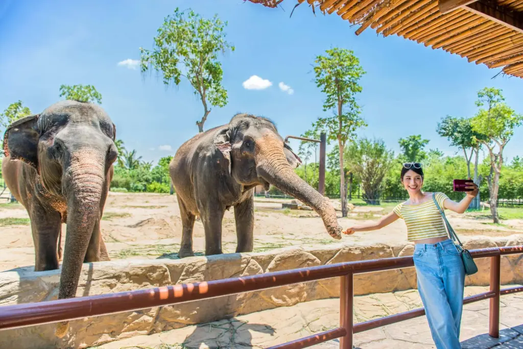 Vé VinWonders Nam Hội An